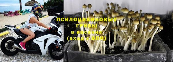 метамфетамин Белокуриха