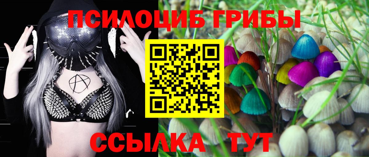 A-PVP Дагестанские Огни