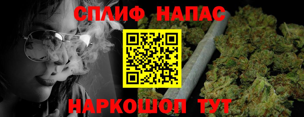 Канабис план Дагестанские Огни